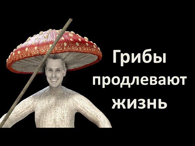 Наше здоровье и долголетие зависит от грибов