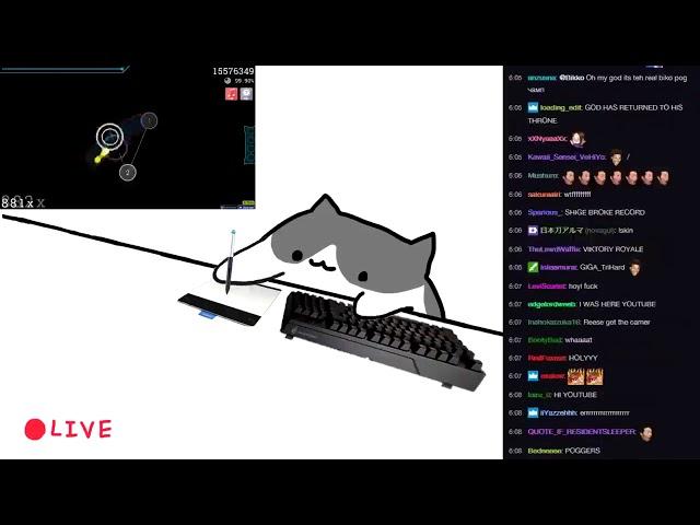 Bongo Cat dominating Osu