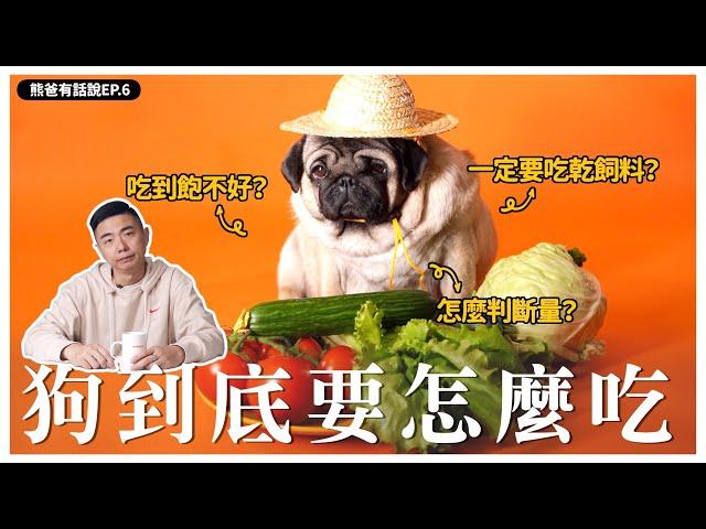 狗狗怎麼吃東西？一碗吃到飽不好嗎？【熊爸有話說】6｜熊爸估狗