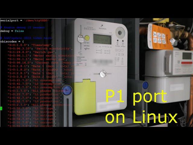 Read data from the a digital meter through the P1 port using Linux