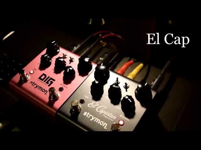 Roland Super JX into Strymon DIG and El Capistan