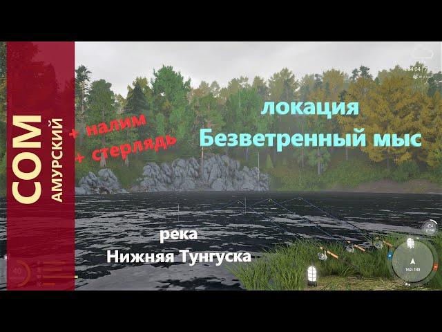 Русская рыбалка 4 - река Нижняя Тунгуска - Сом под скалой