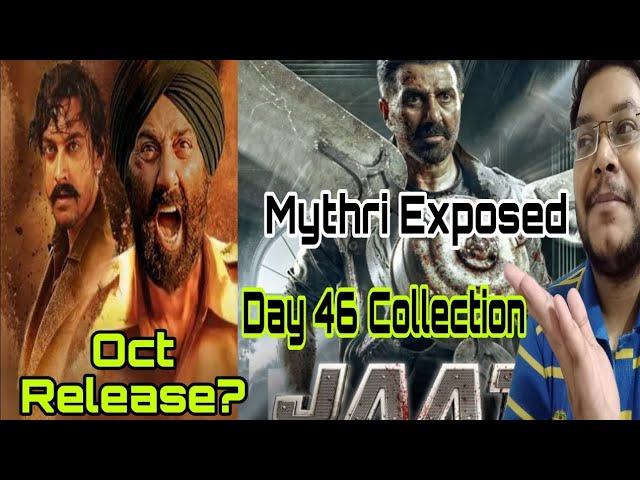 JAAT DAY 46 COLLECTION | JAAT BOX OFFICE PREDICTION DAY 46 | LAHORE 1947 RELEASE DATE CONFIRMED 