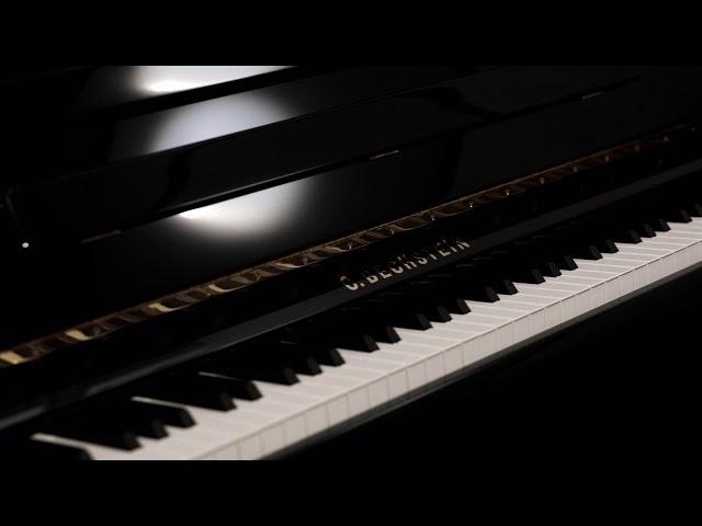 Discover the C. Bechstein Elegance 124