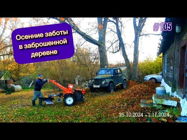 Autumn chores in an abandoned village. I plow the garden with a heavy diesel motor block Centaur 8l.