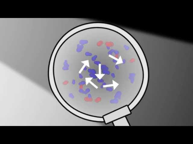 What is Brownian motion? | Chemistry for All | The Fuse School