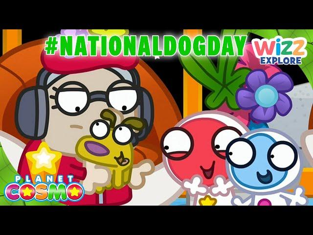 Quantom's National Dog Day!  | @PlanetCosmoTV  | #nationaldogday | #fullepisode |@WizzExplore   ​