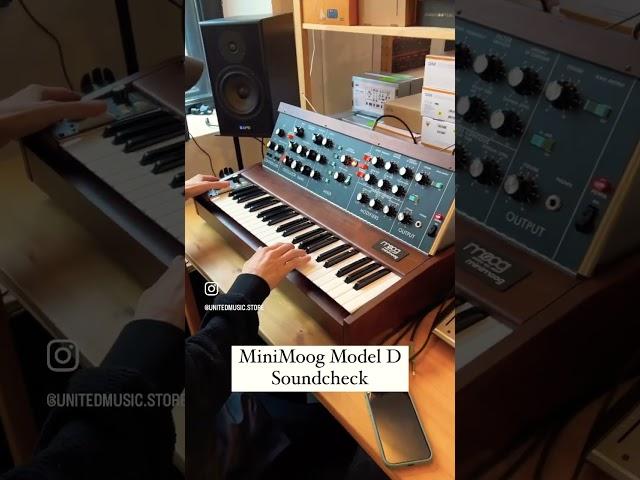 Moog Minimoog Model D  #moog #modeld #minimoog #moogmodeld #moogminimoog #UnitedMusic