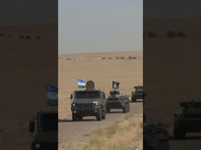 Army of Uzbekistan 