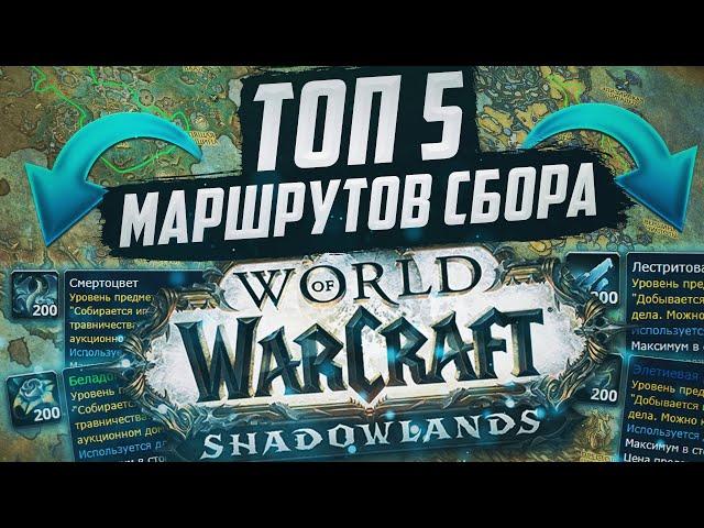 Лучшие маршруты сбора всей травы и руды в WoW Shadowlands 9.0.2 | Голдфарм от 20 000 золота в час