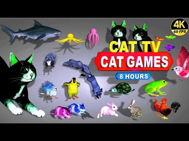 CAT GAMES | THE MOST FAVORITE MOVIE FOR CATS TO WATCH | CAT TV COMPILATION 4K 8 -HOURS | 