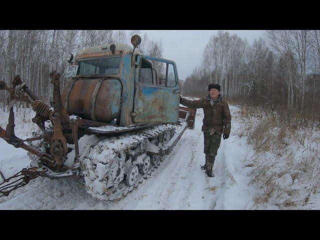 ДТ-75 сила, особенно в умелых руках! Вывоз дров из лесу на гусеничном тракторе...