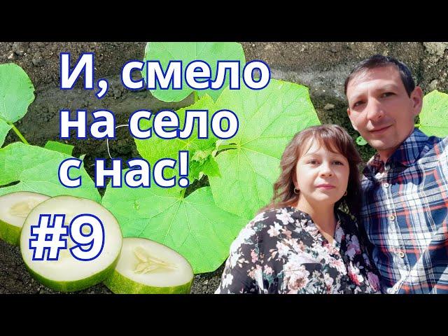 Закъсняхме с краставиците, но първите вече са на мястото си | Живот на село | Боби и Катето