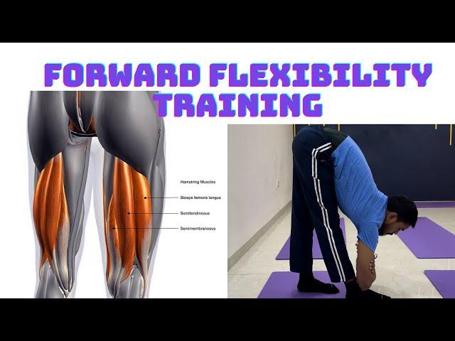 Forward Flexibility Training/Hamstring Muscles Exercises/Glutes Opening Practice - Yoga Saathi Video