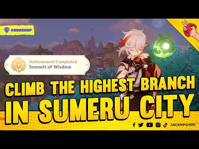 Highest Branch in Sumeru City Achievement