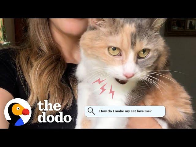 Cat Answers Most Googled Questions About Cats | The Dodo Cat Crazy