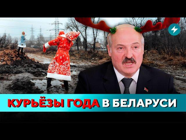 ПОЛНЫЙ КРИНЖ! Подборка самых невероятных новостей из регионов Беларуси  // ТОП-10