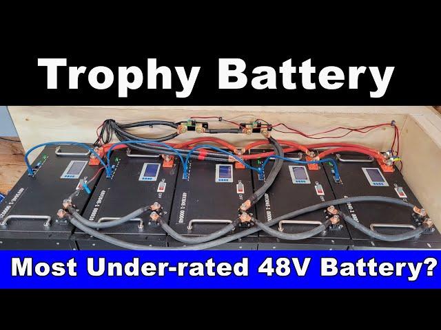 48V Trophy Battery LiFePO4 100/220/304Ah: Best Value Around?