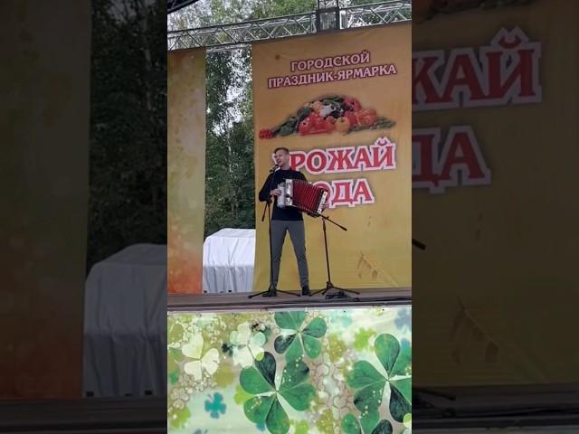 Сергей Новоселов - Верила, верила, верю. Под гармонь. #2024 #россия #гармонь #песня #shorts