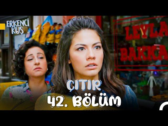 Erkenci Kuş 42. Çıtır Bölüm: Allah'ım Gördüklerimi Sil!