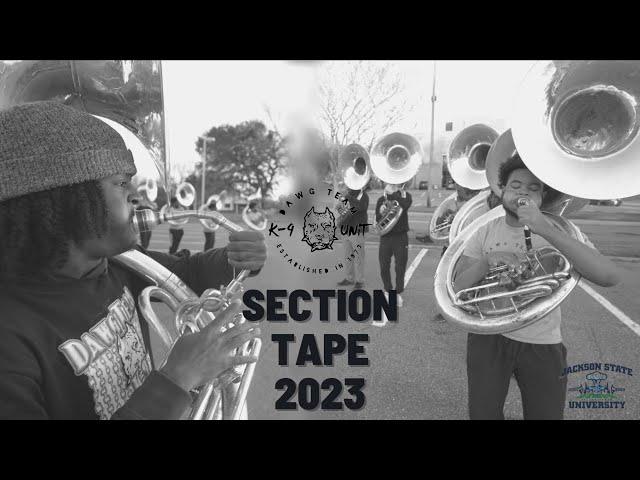 Jackson State University | Dawg Team: Unleashed Edition | Section Tape 2022