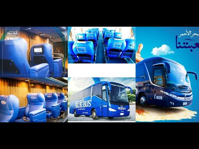 Blue Bus Egypt Business Class Review