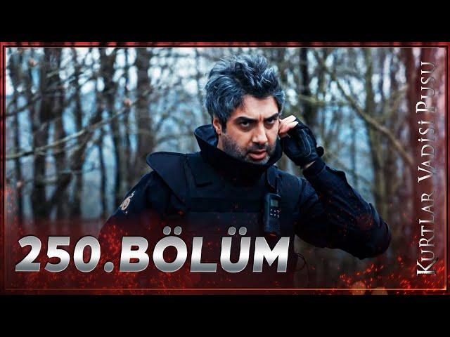 Kurtlar Vadisi Pusu - 250. Bölüm FULL HD