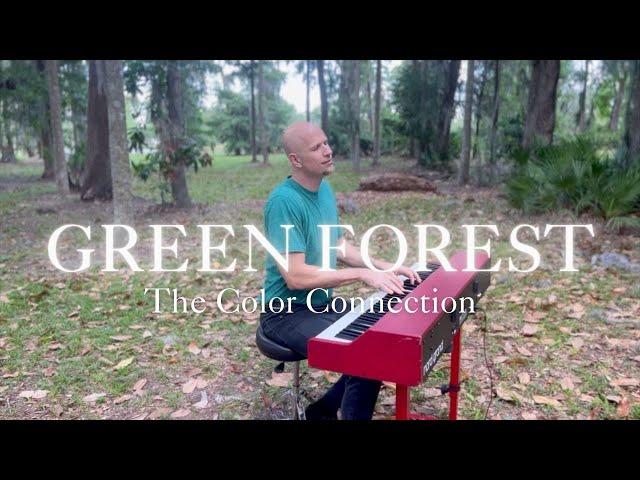 Green Forest | Jeremy Weinglass (original)