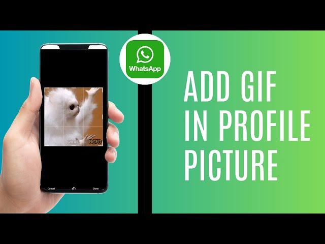 How To Add Gif In Whatsapp Profile Picture 2024 | Full Guide