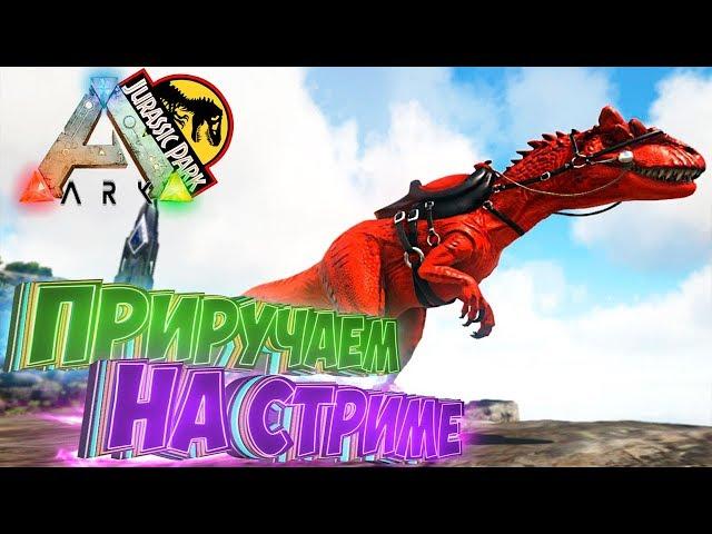 Приручаем Альфа Аллозавра  - нарезка СТРИМа от 12.12.2017 - ARK Survival Evolved