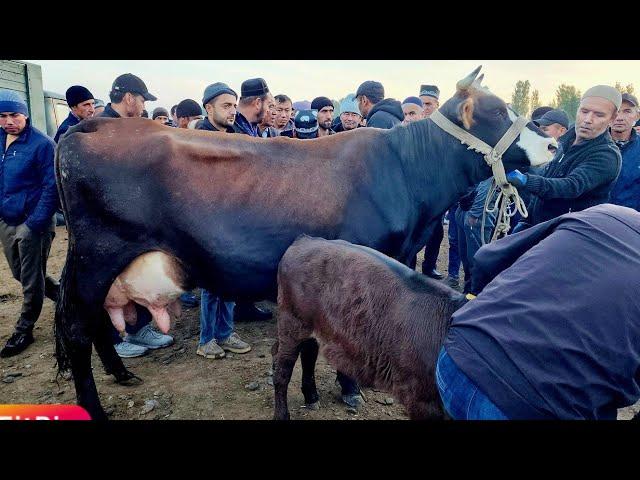 MARXAMAT MOL BOZORI BOZOR MAZZA BOLDI | 20 октября 2024 г.