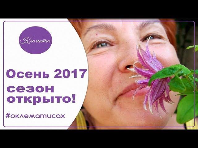  СЕЗОН ОСЕНЬ 2017 года Открыт! Nina Petrusha channel Clematis TV