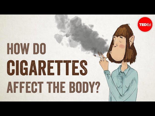 How do cigarettes affect the body? - Krishna Sudhir