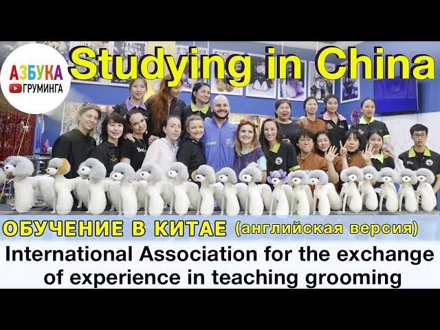 Studying grooming in China. Association for the exchange. Английская версия! Читаем описание к видео