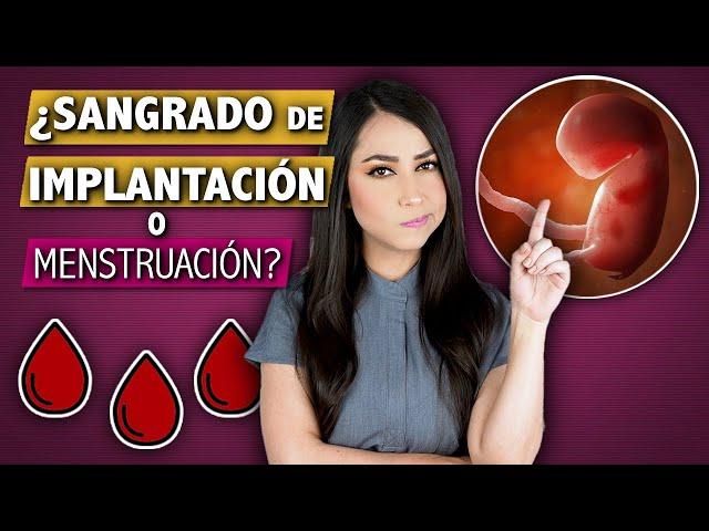 Implantation Bleeding vs Period | How to tell the difference ‍️ Dra. Pau Zúñiga