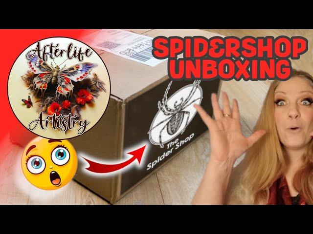 £60 Mystery Box - The Spider Shop  #unboxing #tarantula #mysterybox #inverts #excitement