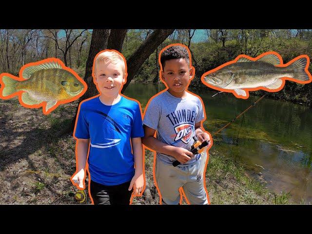 Food Chain Challenge! From Creek to Pond!