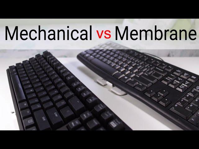 Mechanical vs Membrane Keyboards: Are Mechanical Keyboards Worth It?