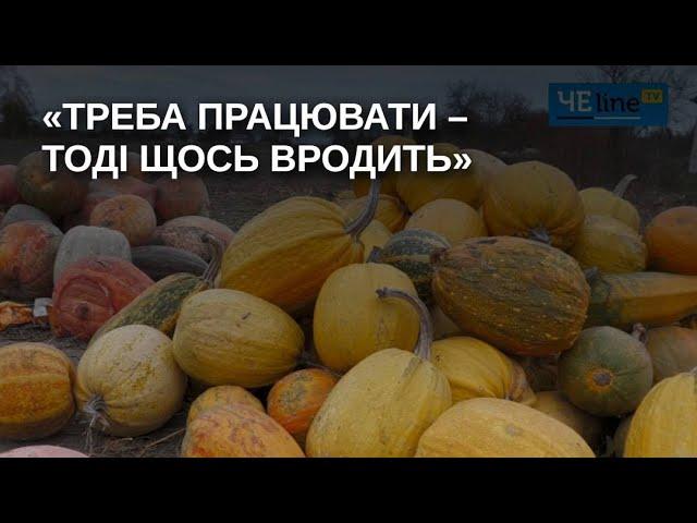 Порають городи, заготовляють дрова на зиму та чекають на Перемогу: як живуть люди в селі Кіпті