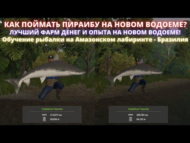 Fishing Planet | КАК ПОЙМАТЬ ПИРАИБУ НА АМАЗОНСКОМ ЛАБИРИНТЕ? ЛУЧШИЙ ФАРМ ДЕНЕГ И ОПЫТА НА ВОДОЕМЕ!