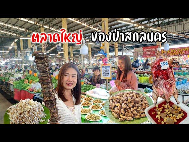 หน้าหนาวของป่าเยอะมาก ตลาดบายพาส สกลนครขายทั้งวัน #อีสานหนาวอีหลี Ep.5