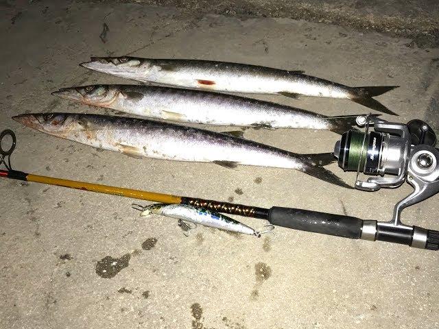 Fishing European Barracuda... Fishing Greece