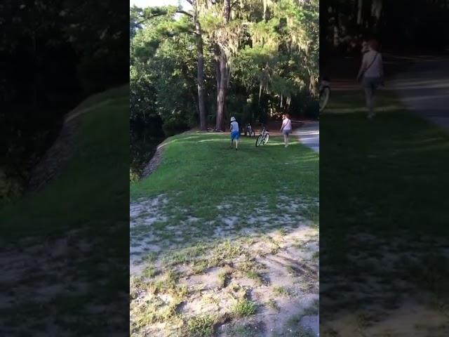 Нападение крокодила/Crocodile attack