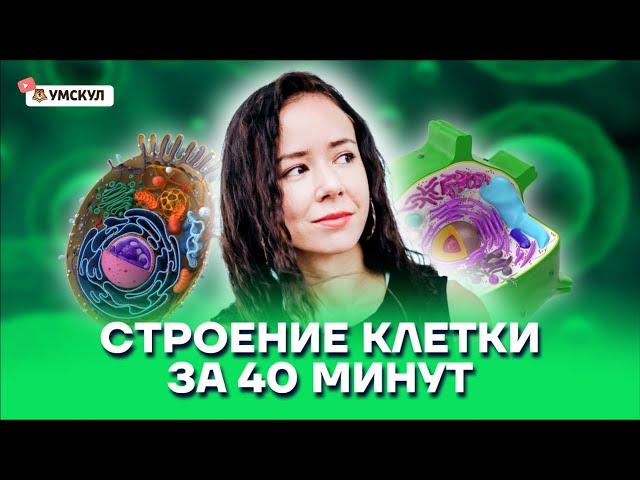 Строение клетки за 40 минут | Биология ЕГЭ 2022 | Умскул