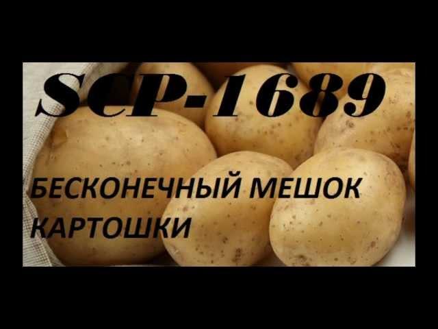 SCP-1689 Бесконечный мешок картошки + Протокол экспедиции часть 1