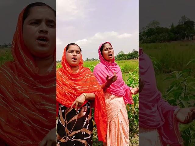 #shortvideo #song #bmkassam