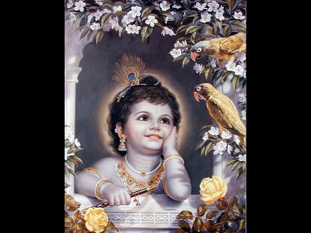Lord_Krishna_Attracts_Even_His_Illusionary_Energy !!!!!!!  ( LORD**KRISHNA**LORD**OF**UNIVERSE )