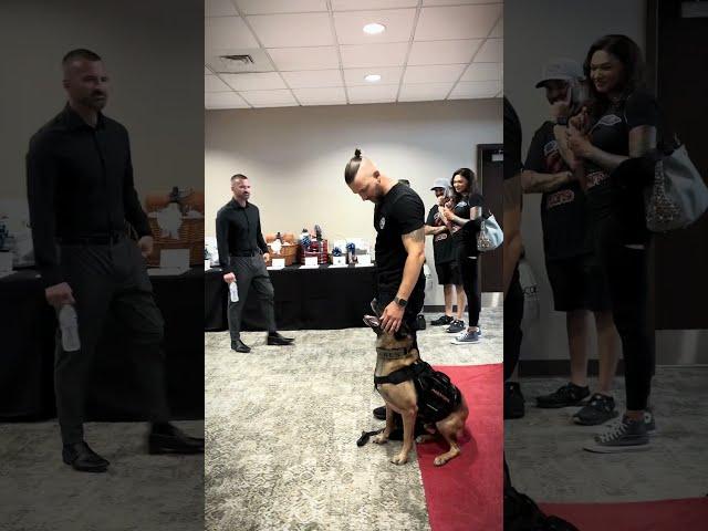 The Best Canine Pro Hub - Ares' First Show: Unforgettable Weekend