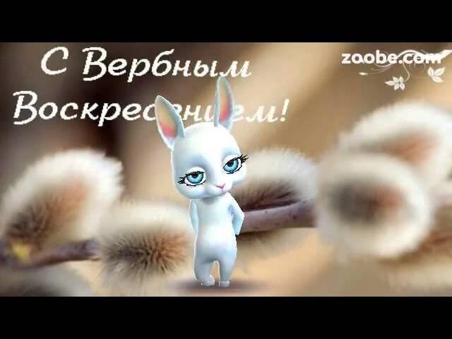 ZOOBE Зайка Поздравление Любимой Жене с Вербным Воскресеньем