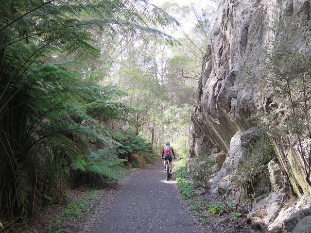 MTB Guide Book, Tasmania, North East Tas Rail Trail